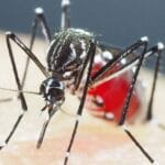 Dengue, muerte Honduras