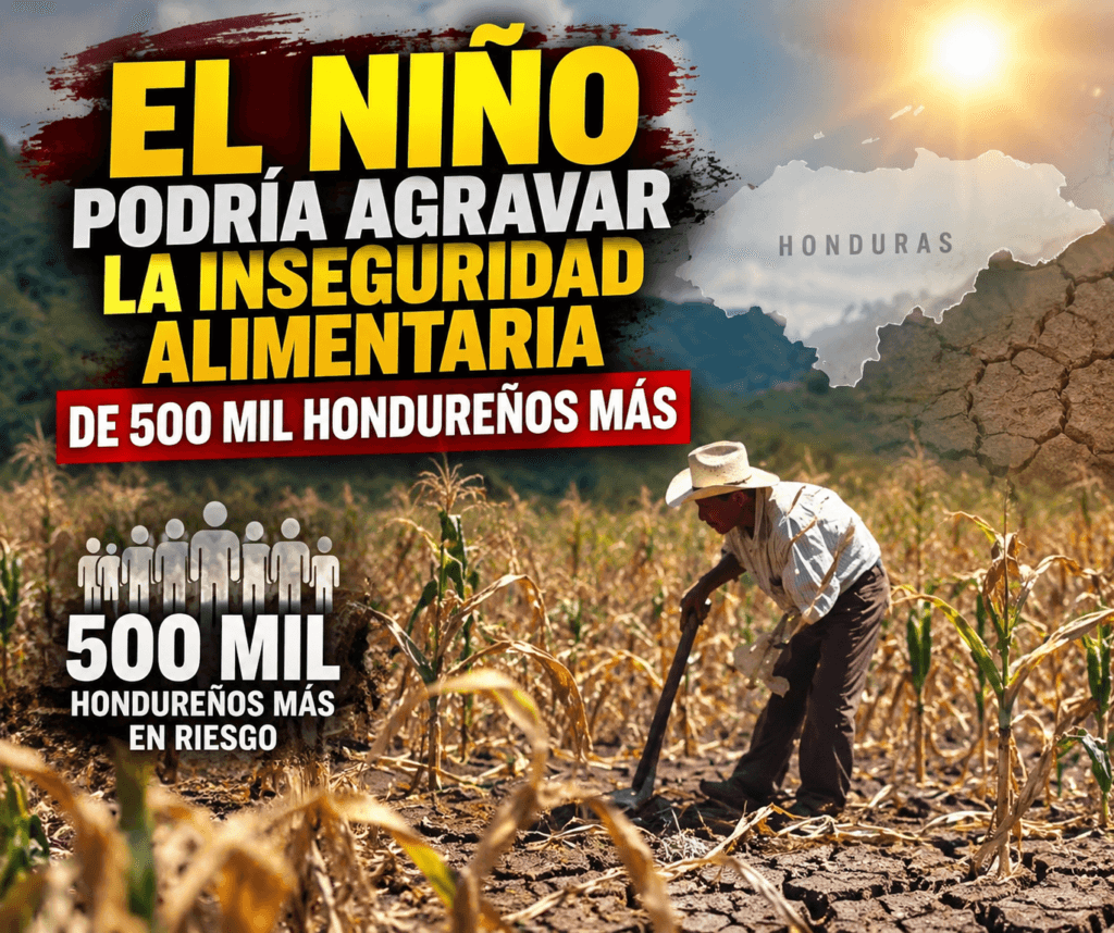 El niño 7 sept 2026, 08_13_15 p.m.