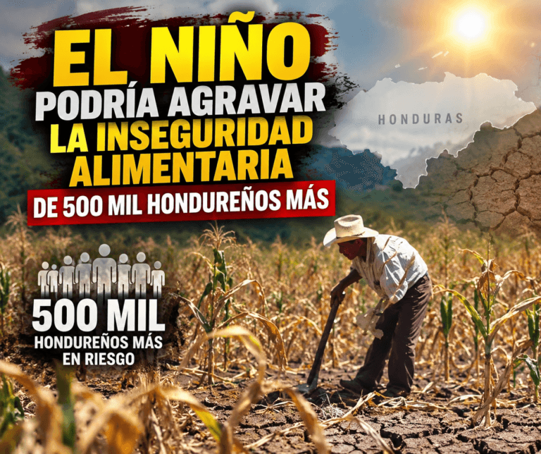 El niño 7 sept 2026, 08_13_15 p.m.
