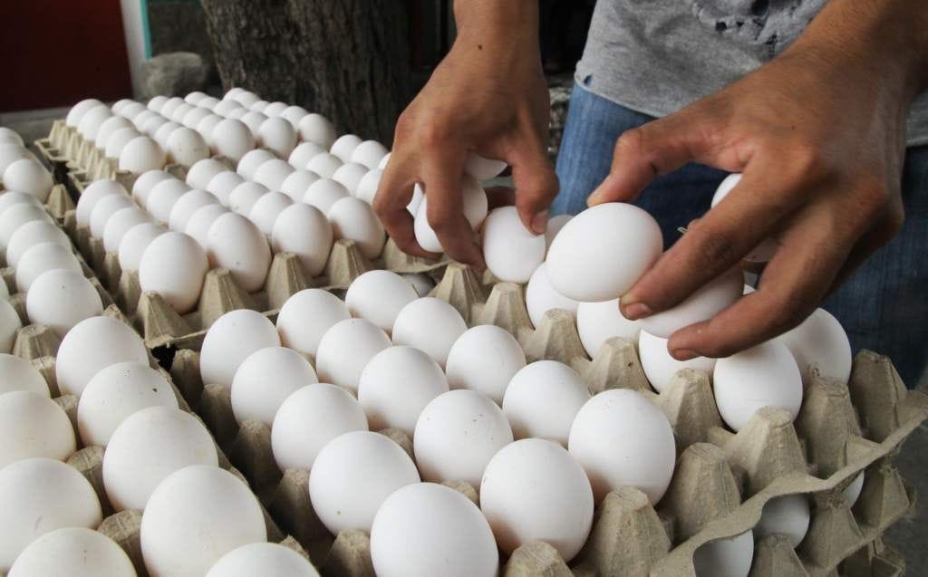 SUBEN LOS HUEVOS