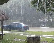 vaguada